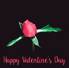 Maybe you would like to learn more about one of these? Valentine Roses Animated Gifs At Best Animations Happy Valentines Day Rose Happy Valentines Day Happy Valentine