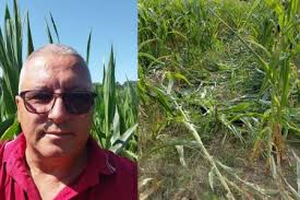 Fermieri români, Welcome in Pioneer Farmer's Club!