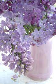 Such Pretty Things Beautiful Flowers Flower Arrangements Lilac Blossom