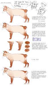 We do not host how to draw warrior cats 1.0 on our servers, so we did not scan it for viruses, adware, spyware or other type of malware. Pin On Art