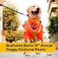 Bushwick Barks 14th Annual Doggy Costume Pawty  event image