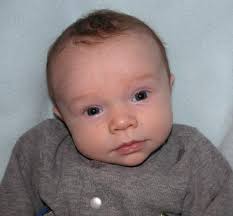 New lightweight model introduced. Built for speed!