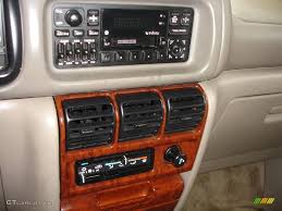 Image result for Greenish Yellow 1995 Chrysler