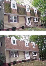 Maybe you would like to learn more about one of these? Stain And Fungus Removal