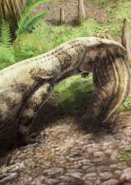 Image result for Proterosuchus