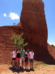 Image result for Monotes magnificus