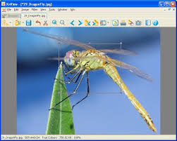 Xnview is a free software for windows that allows you to view, resize and edit your photos. Xnview Heise Download