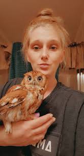 Car Accident at Kids Kingdom, Shasta County