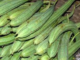 We did not find results for: Rib Gourd World Crops Database
