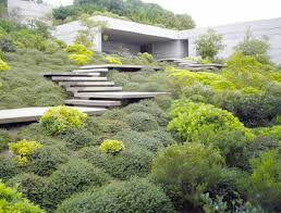 Certificate In Landscape Design Online These Landscape Design Estimating Software Hage
