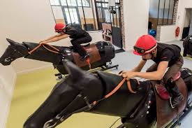 Le meilleur site pour prendre des cours particuliers en ligne. Formez Vous Aux Metiers Des Courses Hippiques Avec L Afasec Federation Nationale Des Courses Hippiques