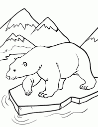 Maybe you would like to learn more about one of these? Polar Bear Color Page Novocom Top