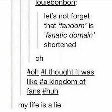 Pin By Asia On Fangirl On Board Book Fandoms Tumblr Funny Fangirl Problems