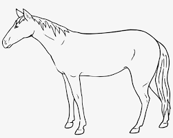In this tutorial, you will learn how to draw one of the models. Mule Mustang Drawing Pony Painting Draw A Standing Horse Step Transparent Png 997x750 Free Download On Nicepng