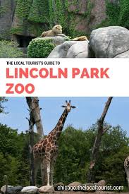 Lincoln Park Zoo Everything You Need To Know Your Chicago Guide Lincoln Park Zoo Best Places To Camp Usa Travel Guide