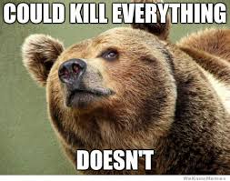 Good Guy Bear Meme Animal Puns Funny Bears Funny Animals