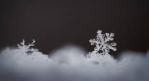 See the best snowflake wallpaper hd collection. Hd Wallpaper Real Snowflake Magnified Aero Macro Winter White Frozen Wallpaper Flare