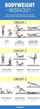 Tone And Strengthen Your Entire Body With This At Home Workout Workout At Home Workouts Health Fitness Cat