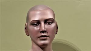 notas cordobesas: EL VUELO DE JULIA, DE JOSÉ MANUEL BELMONTE, MUSEO DE  BELLAS ARTES