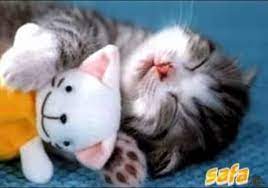 10 baka kucing paling cantik dan comel dalam dunia iluminasi. Gambar Kucing Yang Comel Posts Facebook