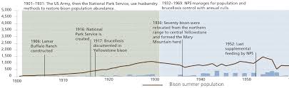 History Of Bison Management In Yellowstone U S National