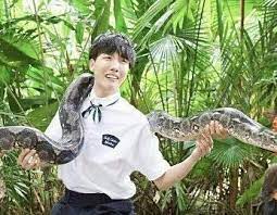 Philips respironics issued a recall for some cpap and bilevel pap devices and mechanical ventilators. Son Of Apollo Yoonseok Flying Snakes Are The Worst Hoseok Wattpad