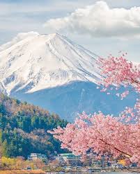 Pin By Jasmin M On Japan Beautiful Nature Japan Tourism Japan Travel