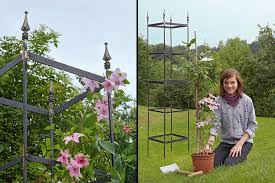 Schachtelhalmbrühe ist ein altes hausmittel und lässt sich in vielen gartenbereichen erfolgreich einsetzen. Rankgitter Selber Schweissen Selbermachen De