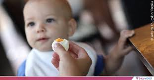 ✓ welche und wie viel liest du hier. Honig Nusse Eier Ab Wann Dein Baby Was Essen Darf Babyartikel De