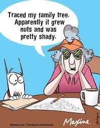 Traced My Family Tree Apparently It Grew Nuts And Was Pretty Shady Birthday Quotes Funny Genealogy Humor Happy Birthday Quotes