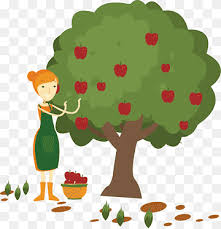 Check spelling or type a new query. Memetik Buah Png Pngwing