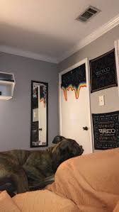 This wonderfully modern bedroom painting idea has become quite popular nowadays and leaves you with a feeling of tropical vibes. Artsy Room Painted Bedroom Doors Aesthetic Bedroom Room Design Bedroom