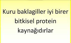 protein kaynagi cocuk beslenmesi protein