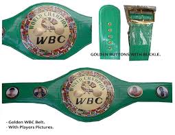 Image result for WBC