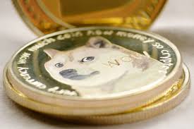 What is a smart contract? Elon Musk Explains Why He Prefers Dogecoin Over Ethereum 2 0 Cardano And Other Cryptocurrencies Tesla Motors Tsla Benzinga