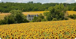 Holidays Sandy Beaches Beautiful Towns In Poitou Charentes Poitou Charente Maritime France