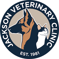 We are excited to be a part of the. Veterinarian In Jackson Ga Jackson Veterinary Clinic