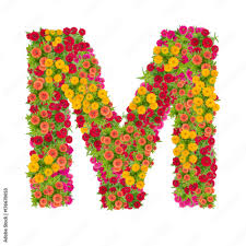 The letters in her name, convert them to numbers, find the standard deviation, and whoever's. Letter M Alphabet Made From Zinnia Flower Abc Concept Type As Logo Typography Design With Clipping Path Stock Photo Adobe Stock
