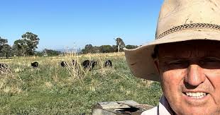 Call for PFAS regulation in Australian beef industry