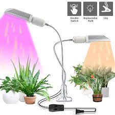 Maybe you would like to learn more about one of these? 300 Degree Rotatable Lamp Holder Professional For Seedling Growing Blooming Fruiting 2 Pack Total 50w Led Grow Light Bulb For Indoor Plants Juhefa Sunlike Full Spectrum Grow Lamp Bulb Patio Lawn Garden Indoor