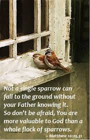 Bird Sitting On Window Sill Meaning Shabbat Shalom You Are The Father Bird Art Spirituality