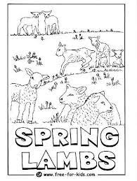 Download and print free spring coloring pages. Spring Animal Colouring Pages Coloring And Drawing
