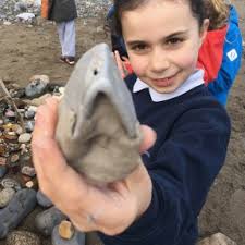 dlr Primary Arts Rathmichael N.S with visual Artist Jane Groves.
