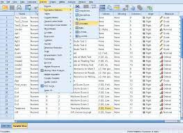 What's new in ibm spss base 28. Ibm Spss Statistics 1 0 0 2482 Download For Pc Free