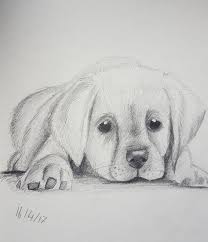 Pin On Art Drawings