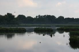 On the othere side the entrance to natural reserve molsbroek. Sfeerfoto Aan Het Molsbroek Lokeren Het Nieuwsblad Mobile