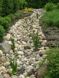 Top 6 Landscaping Ideas For Drought Affected Areas Rain Garden Design Landscaping With Rocks Rock Garden Landscaping