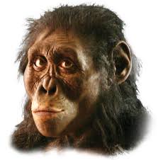 Was Lucy the mother of us all? Fifty years after discovery, famed skeleton  has rivals