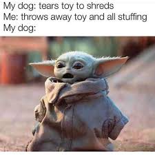 Just A Dog Person On Instagram Funny Christian Memes Yoda Funny Baby Memes