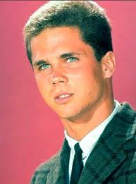 TV BANTER : Tony Dow (Wally Cleaver): The Beaver's older brother is a man  of many talents